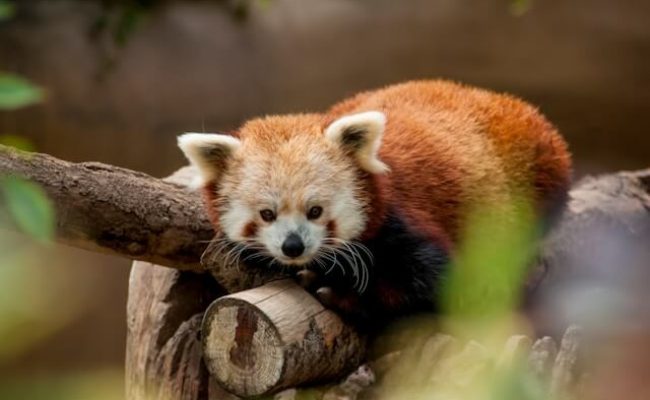 jessica-weiller-GAw5wFLVWVo-unsplash