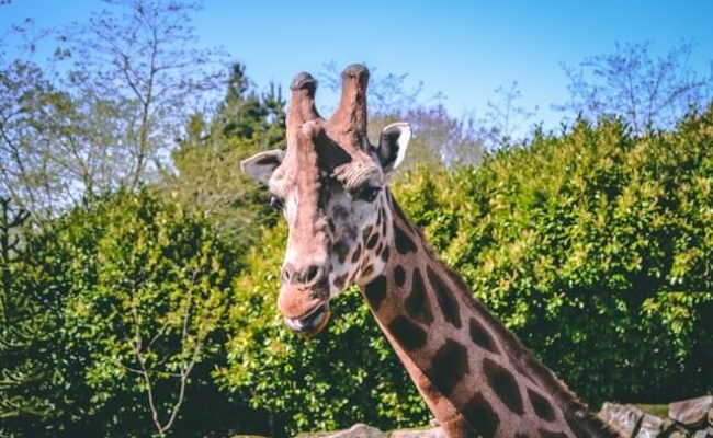philip-marsh-yUfWjSRnK-0-unsplash